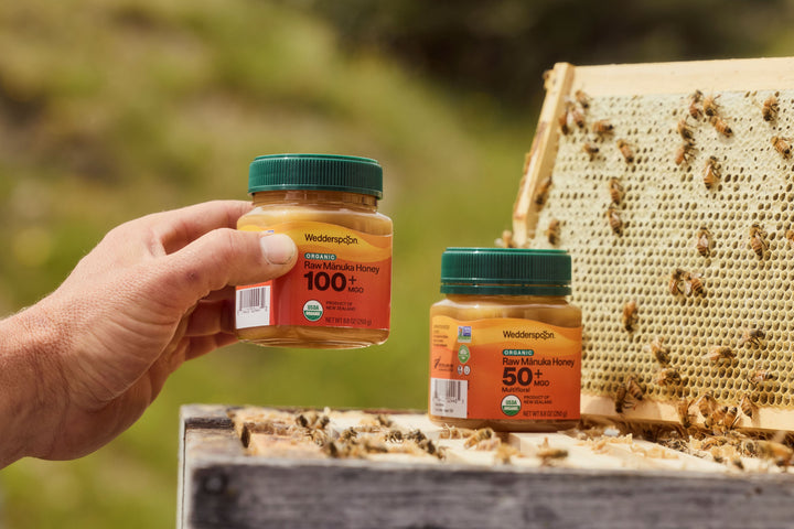 Why the Wellness World Is Moving Away from Supplements — and Toward Real Food