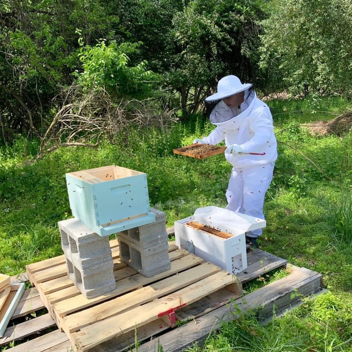 Pollinator Week 2020: The Importance of Coming Together to Support Our Pollinators