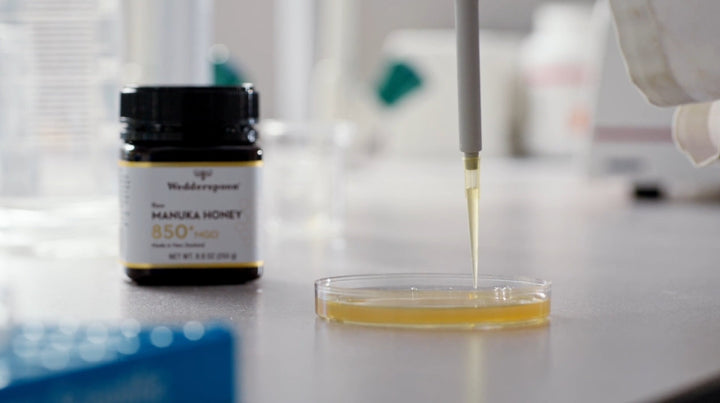 The Anti-Bacterial Power of Manuka Honey: Backed by Science