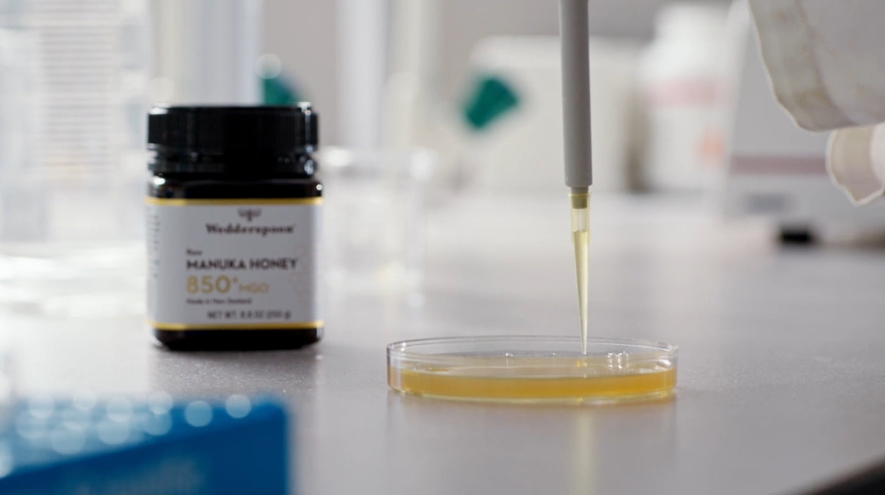 The Anti-Bacterial Power of Manuka Honey: Backed by Science