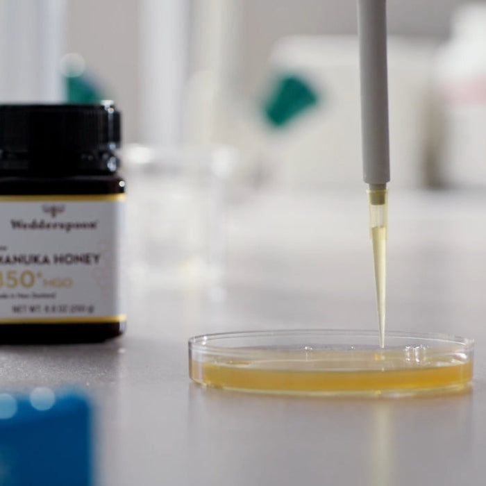 The Anti-Bacterial Power of Manuka Honey: Backed by Science