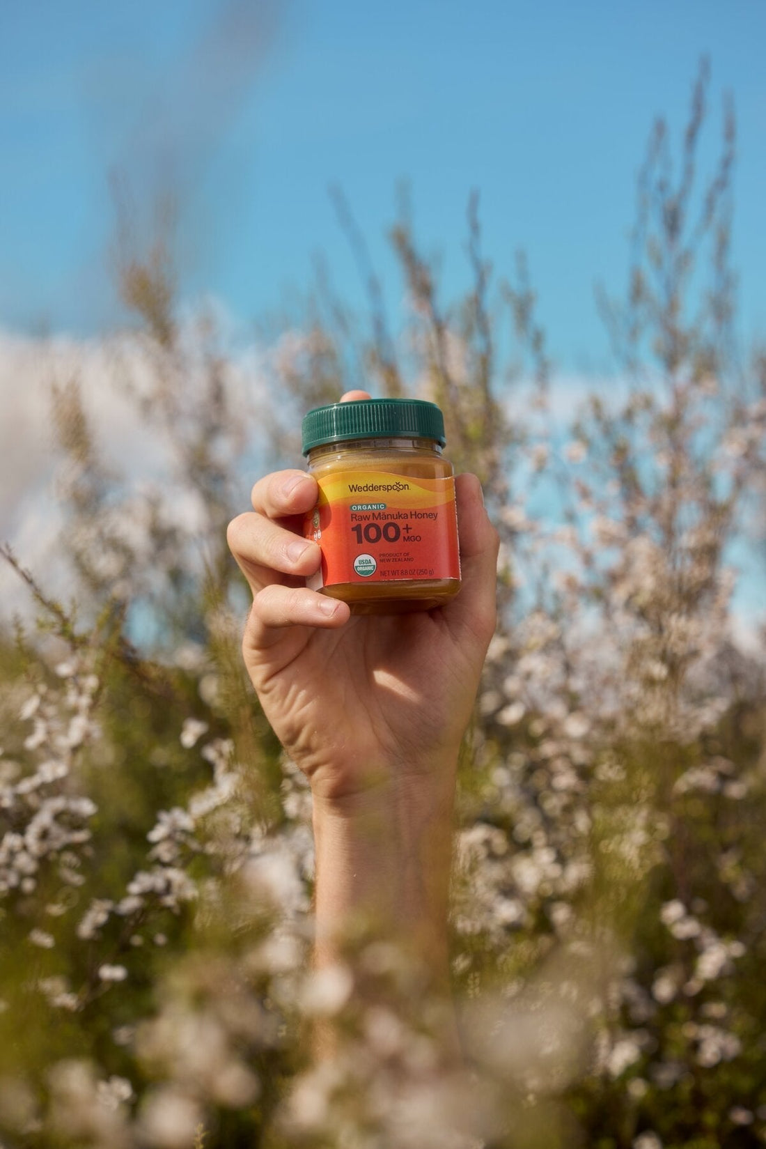 Mānuka Honey Authentication Explained