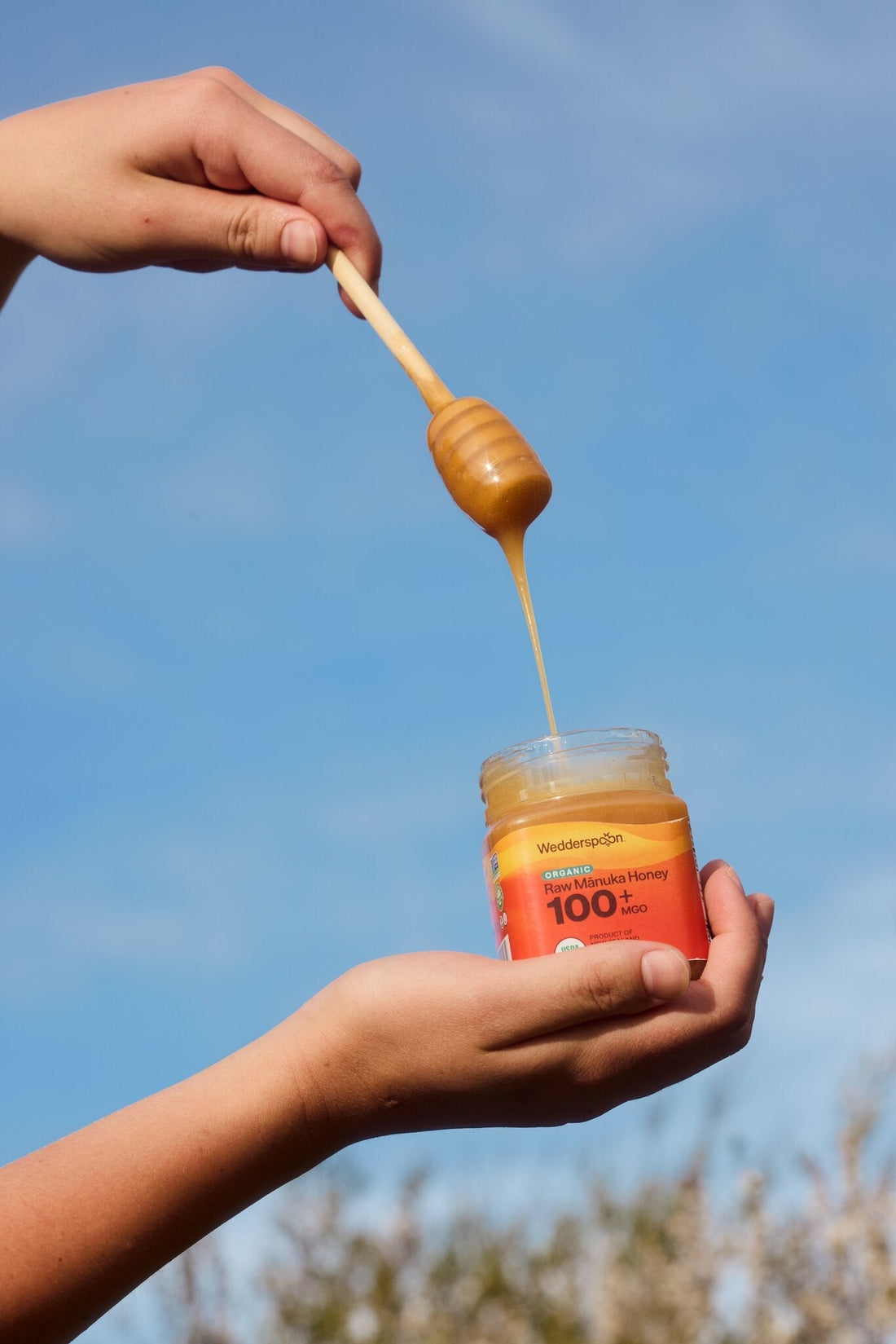 Why We Built Our Honey Standard Around Organic and Glyphosate-Free Certification