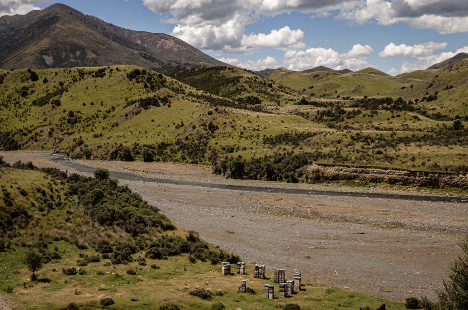 Recognizing Earth Day