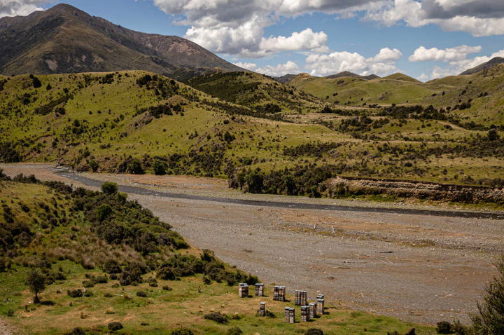 Recognizing Earth Day