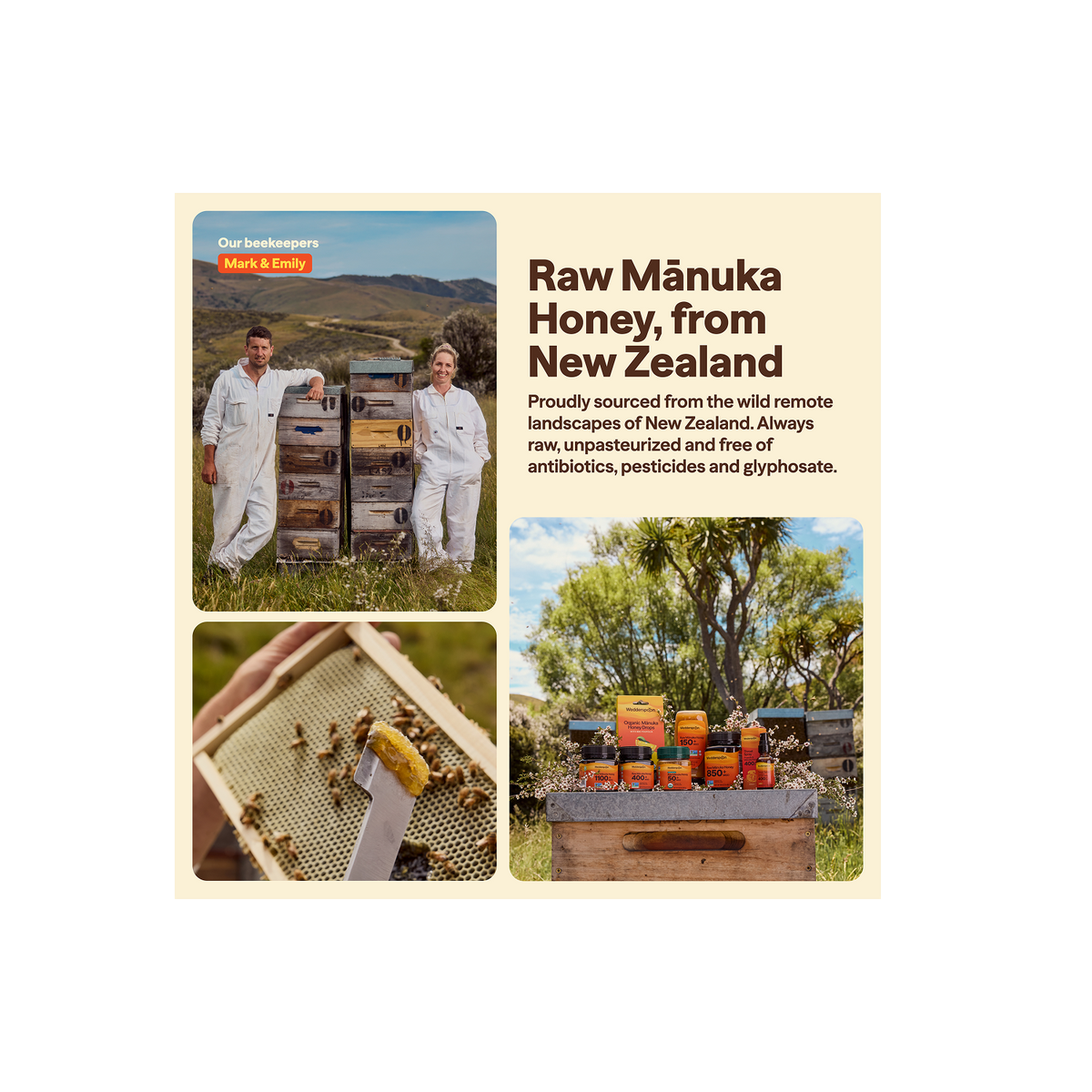Raw Monofloral Mānuka Honey MGO 150+